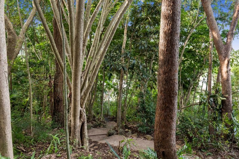 76 Bellata Street, The Gap QLD 4061, The Gap - Thumbnail 5