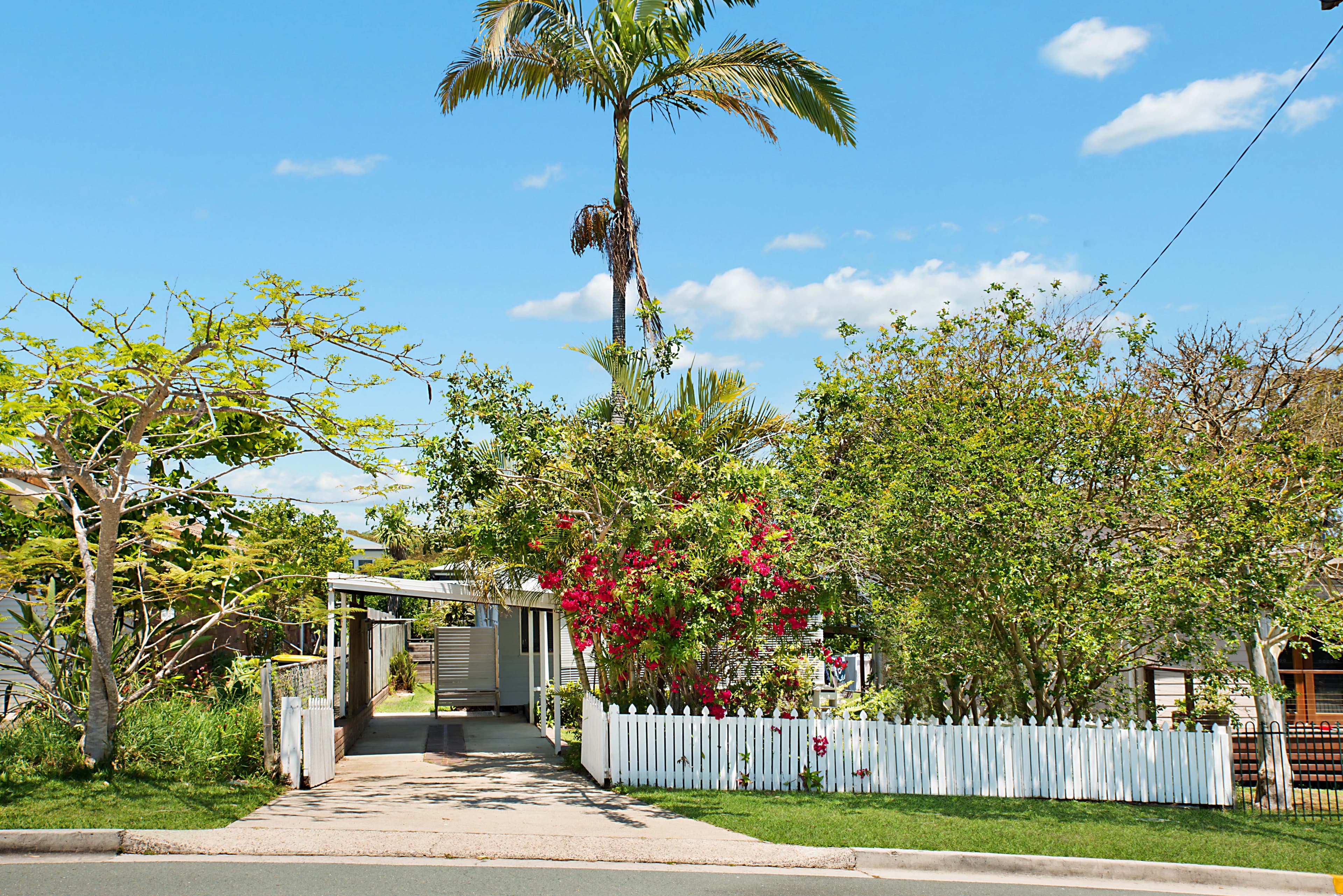 66 Cooroora Street, Dicky Beach QLD 4551, Dicky Beach - Thumbnail 5