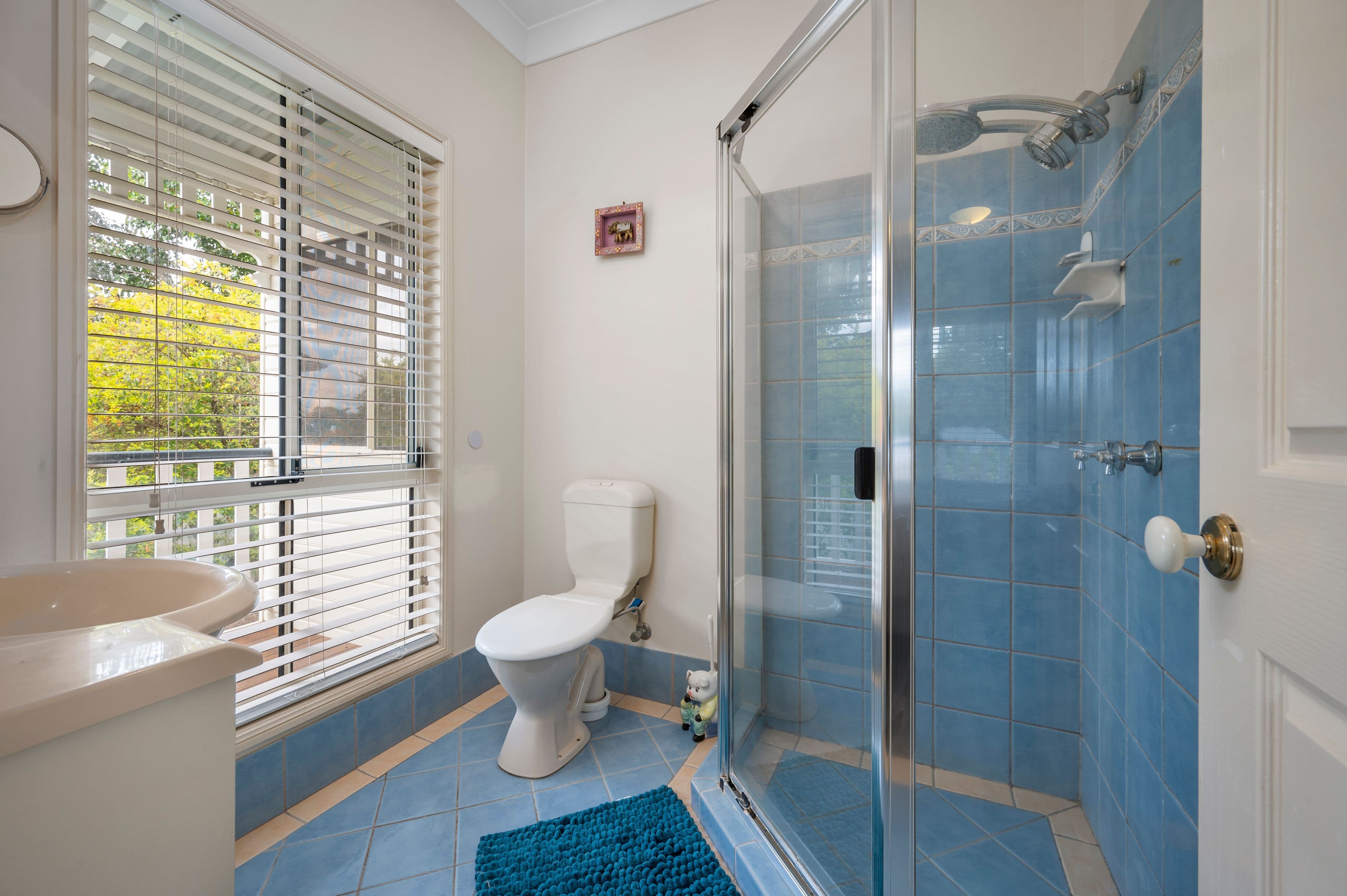 4 Marinda Crescent, Brookwater QLD 4300, Brookwater - Thumbnail 6