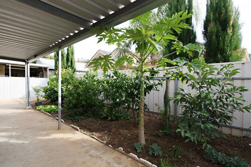 4  Bardia Avenue, FINDON SA 5023, Findon - Thumbnail 6