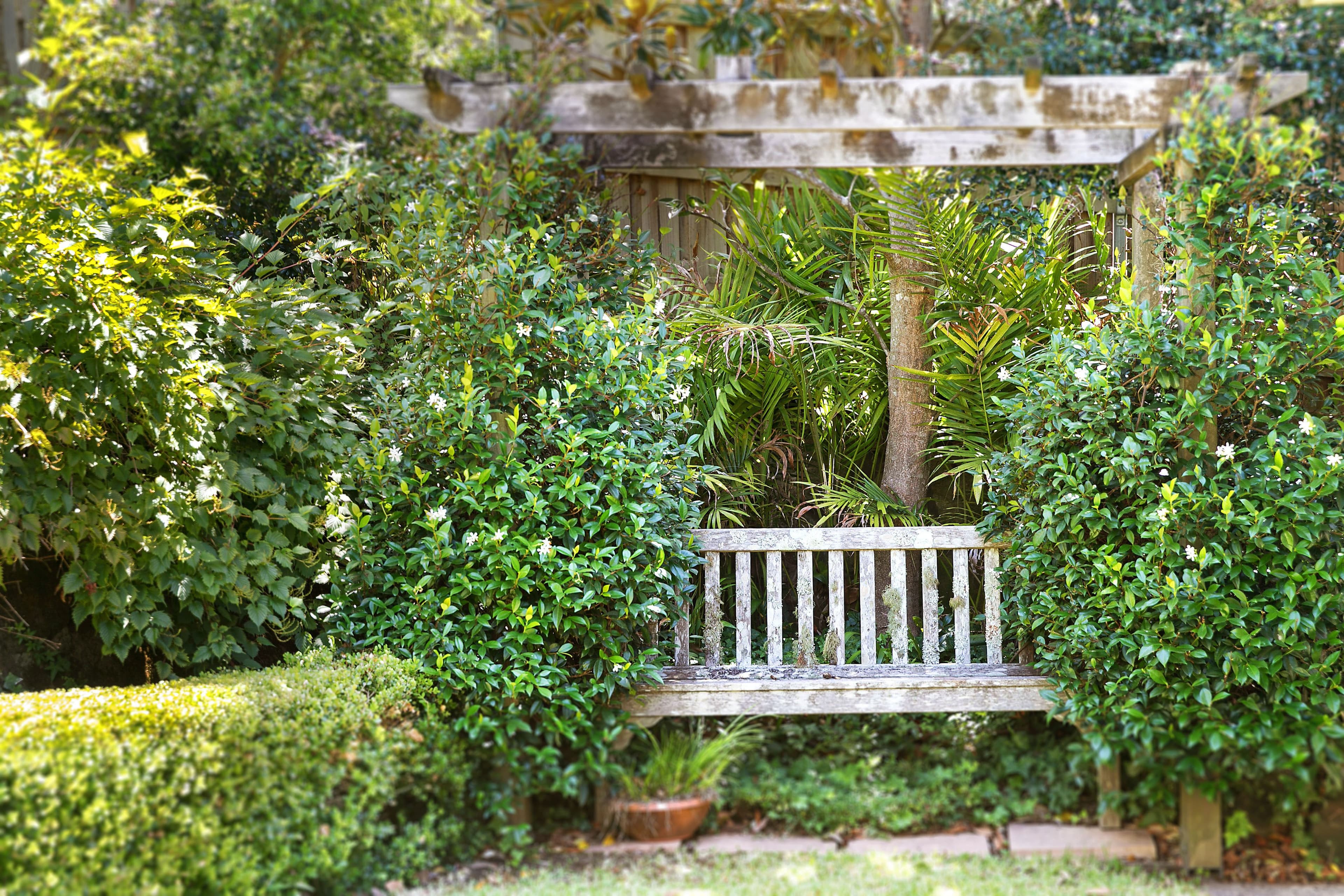 8 Evans Street, West Pymble - Thumbnail 8