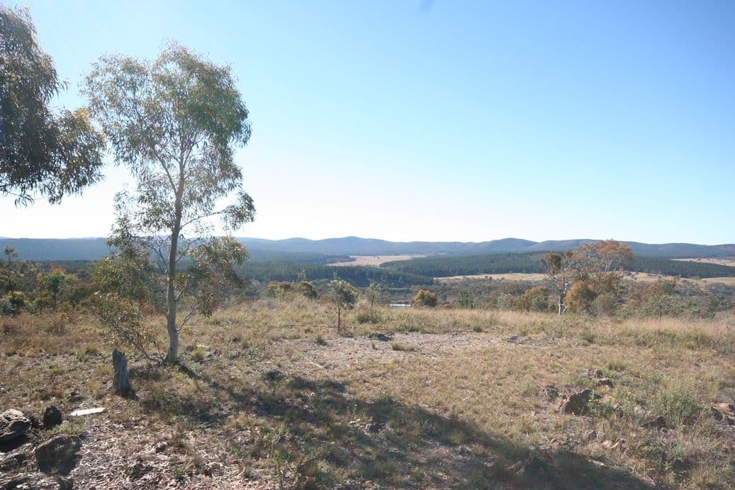 Lot 4 Latrigg Park, CARWOOLA NSW 2620, Carwoola - Image 1