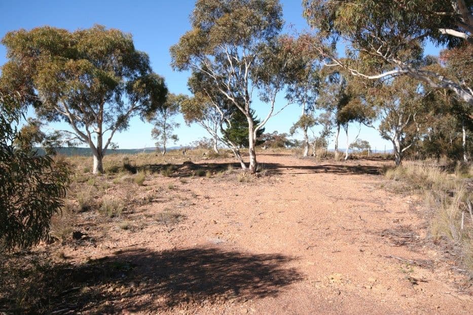 Lot 4 Latrigg Park, CARWOOLA NSW 2620, Carwoola - Thumbnail 2