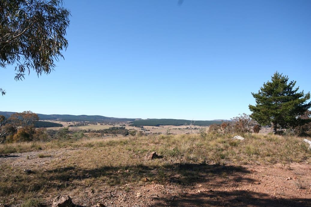 Lot 4 Latrigg Park, CARWOOLA NSW 2620, Carwoola - Thumbnail 3