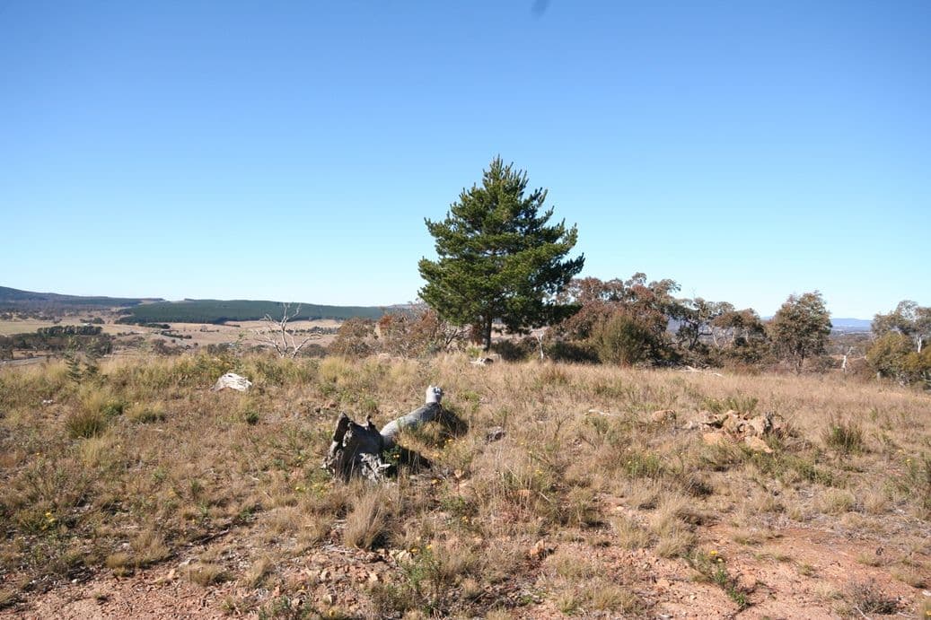 Lot 4 Latrigg Park, CARWOOLA NSW 2620, Carwoola - Thumbnail 4