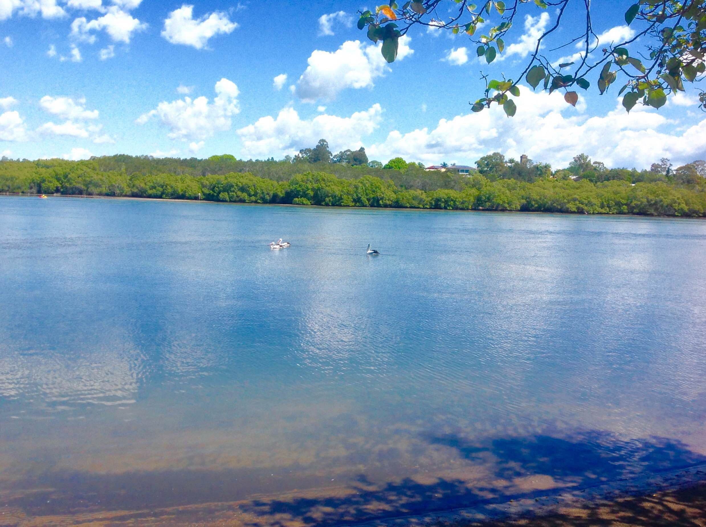 Lot 8 Lakeview Estate, Bli Bli QLD 4560, Bli Bli - Image 1