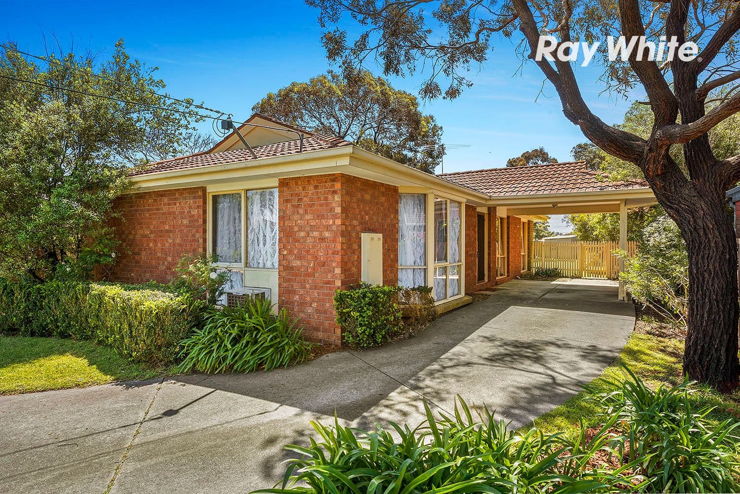 15 Oriflamme Court, Aspendale Gardens VIC 3195, Aspendale Gardens - Image 1