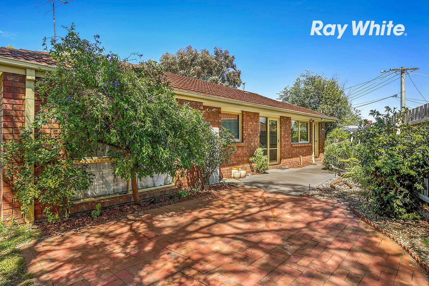 15 Oriflamme Court, Aspendale Gardens VIC 3195, Aspendale Gardens - Thumbnail 7