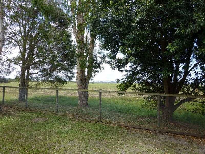 17 Godfreys Avenue, BLI BLI QLD 4560, Bli Bli - Thumbnail 4