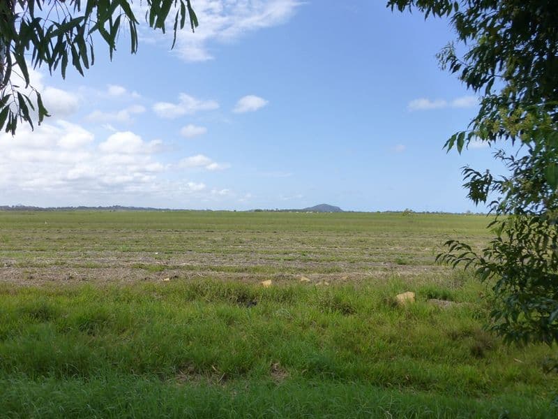17 Godfreys Avenue, BLI BLI QLD 4560, Bli Bli - Thumbnail 6