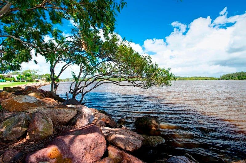 17 Godfreys Avenue, BLI BLI QLD 4560, Bli Bli - Thumbnail 7