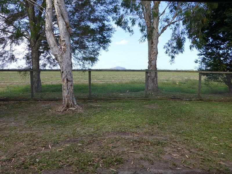 17 Godfreys Avenue, BLI BLI QLD 4560, Bli Bli - Thumbnail 8