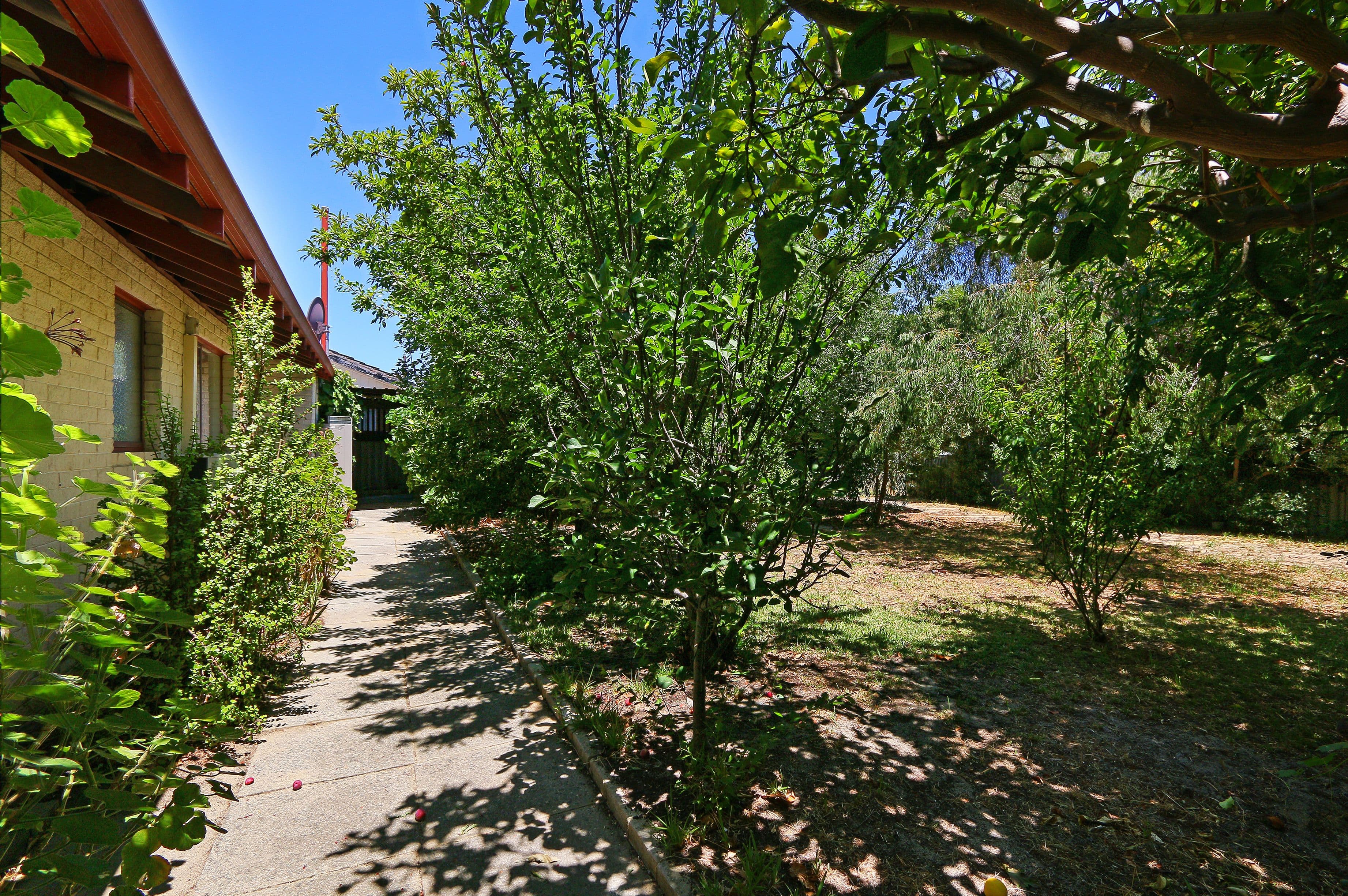 13 Nutley Street, Maddington WA 6109, Maddington - Thumbnail 3