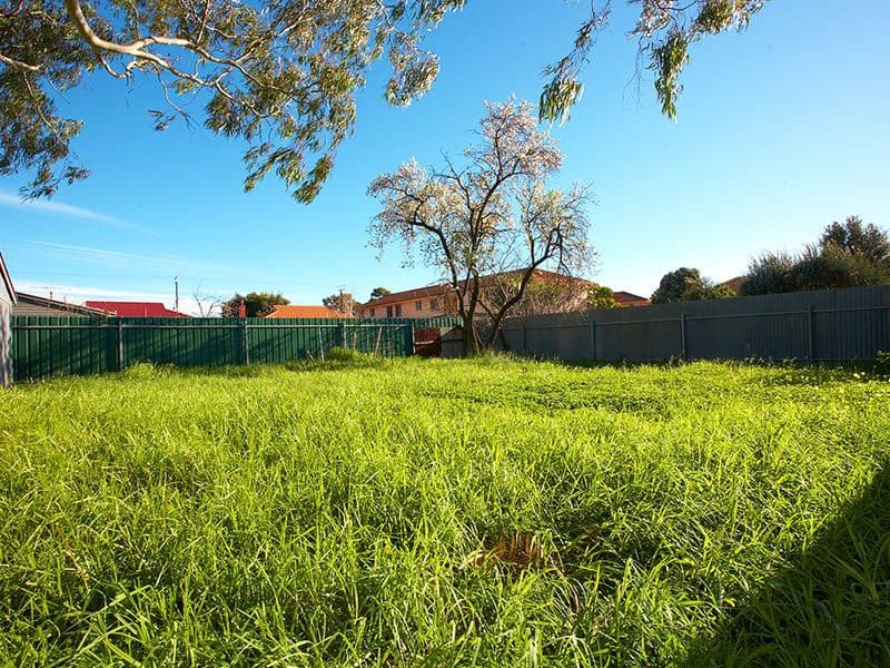 260  South Road, RENOWN PARK SA 5008, Renown Park - Thumbnail 8