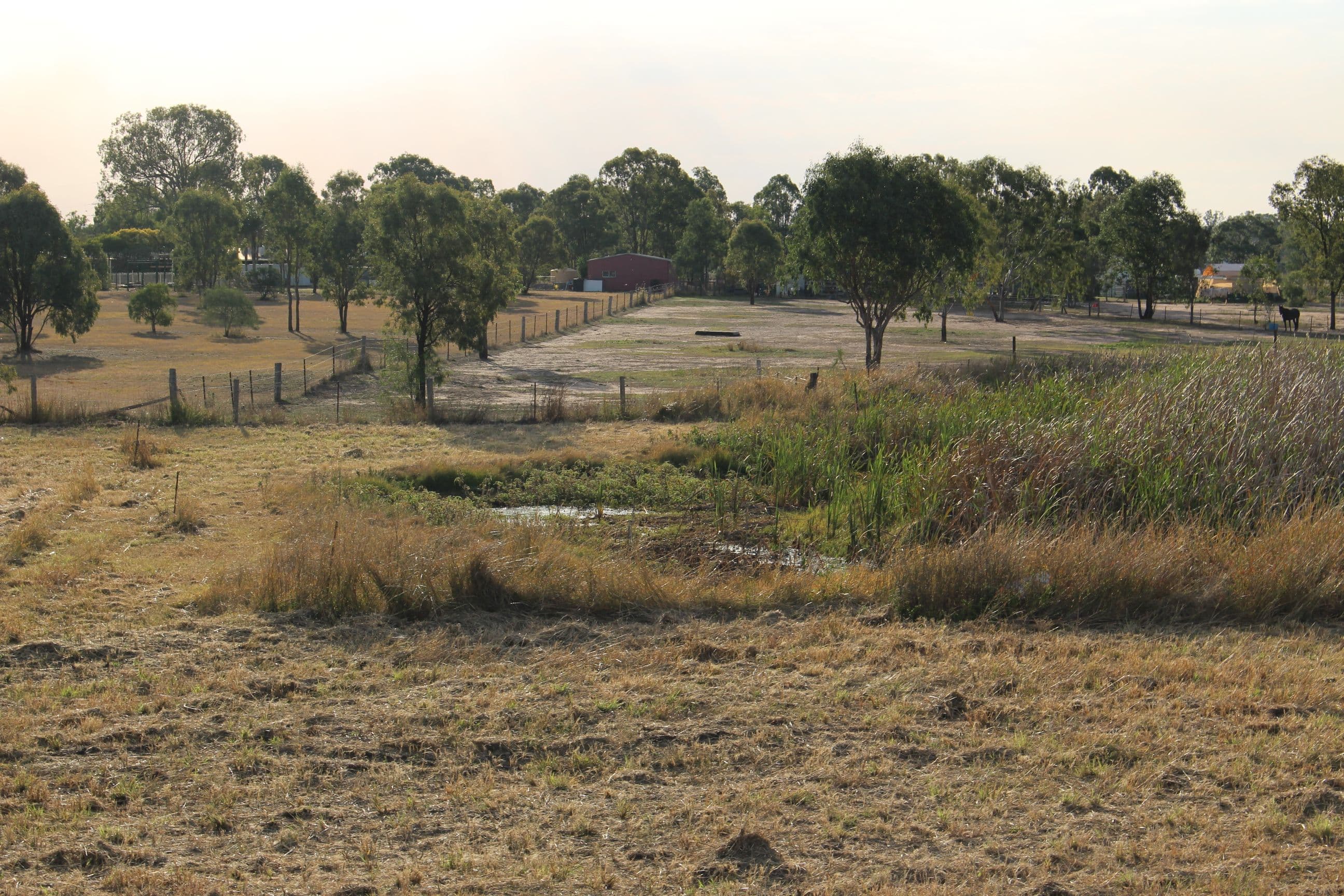 12 Old Brightview Road, Lockrose QLD 4342, Lockrose - Thumbnail 3