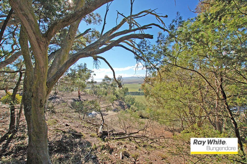 53 Bede Road, Bungendore NSW 2621, Bungendore - Thumbnail 3