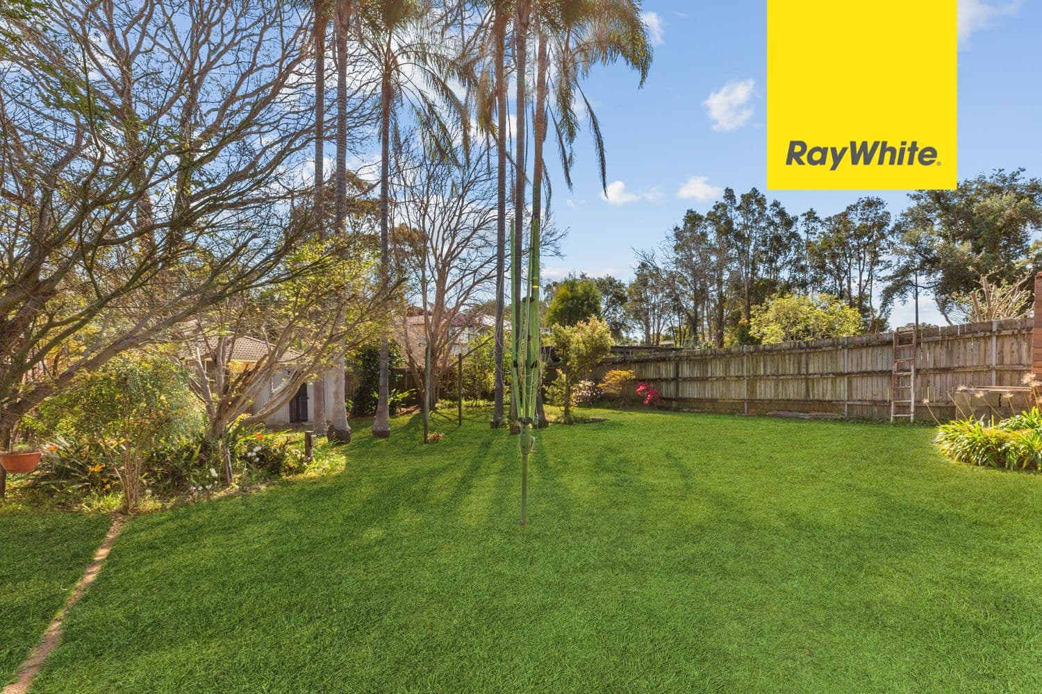 161 Vimiera Road, Marsfield NSW 2122, Marsfield - Thumbnail 6