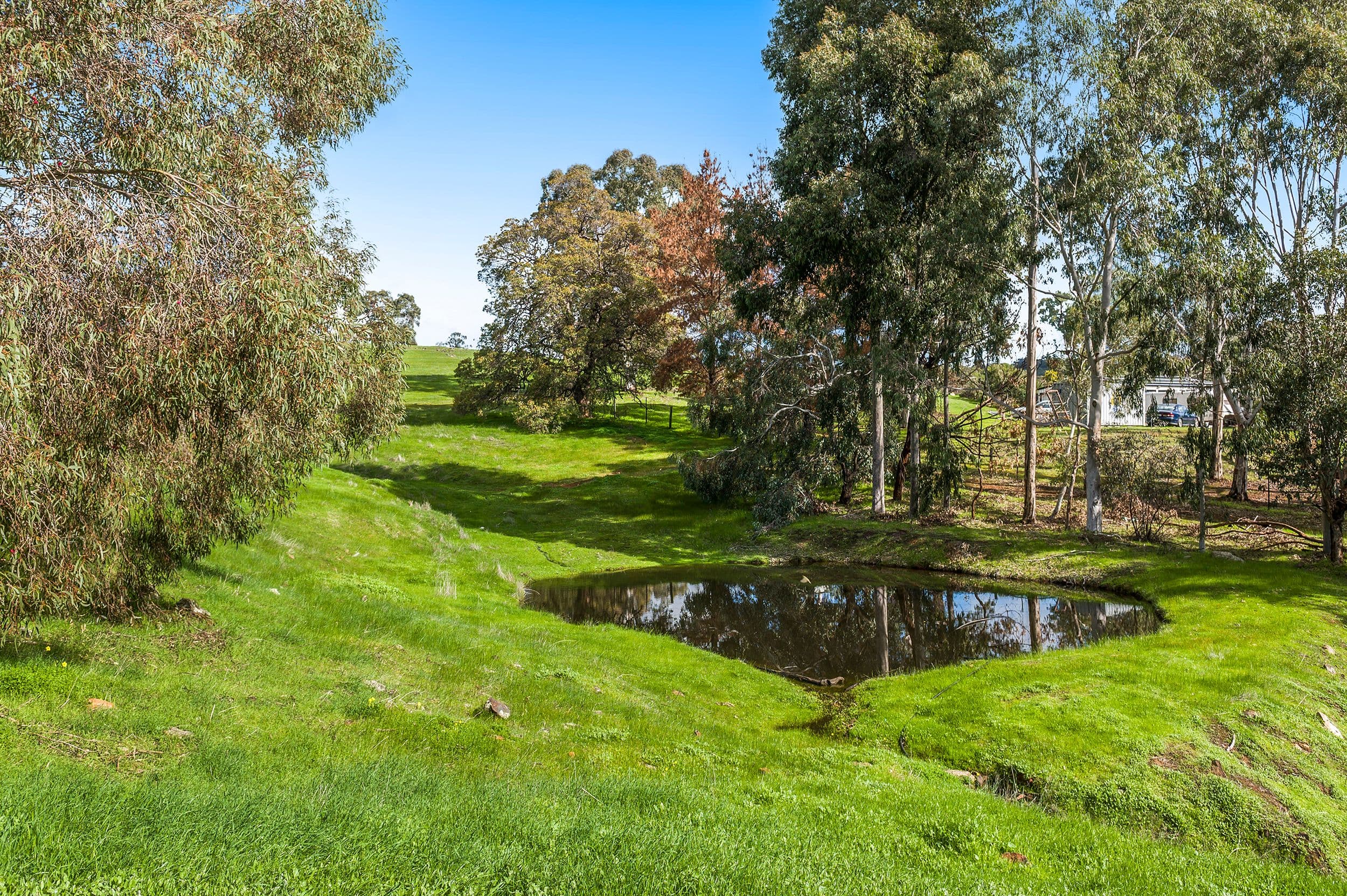 112 Edelweiss Heights, Bullsbrook WA 6084, Bullsbrook - Thumbnail 3