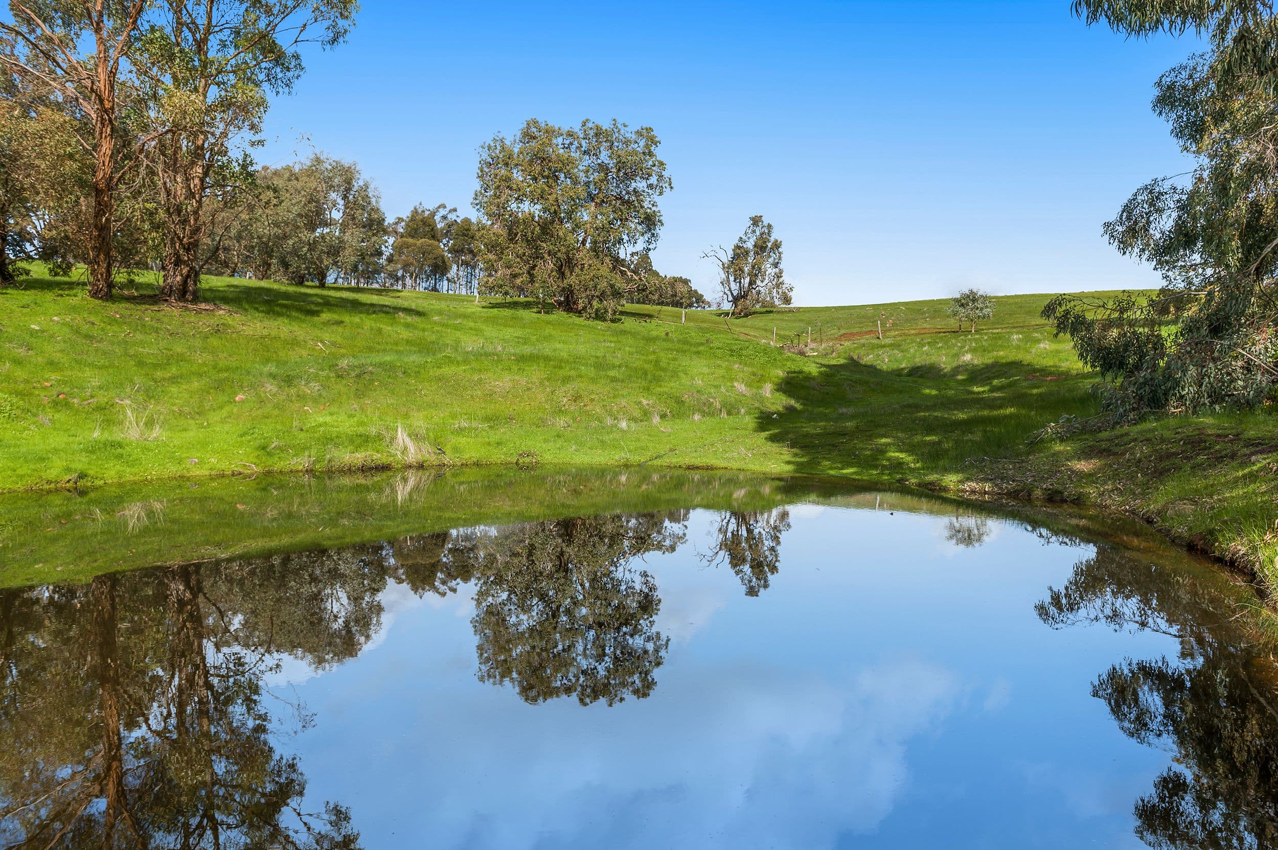 112 Edelweiss Heights, Bullsbrook WA 6084, Bullsbrook - Thumbnail 4