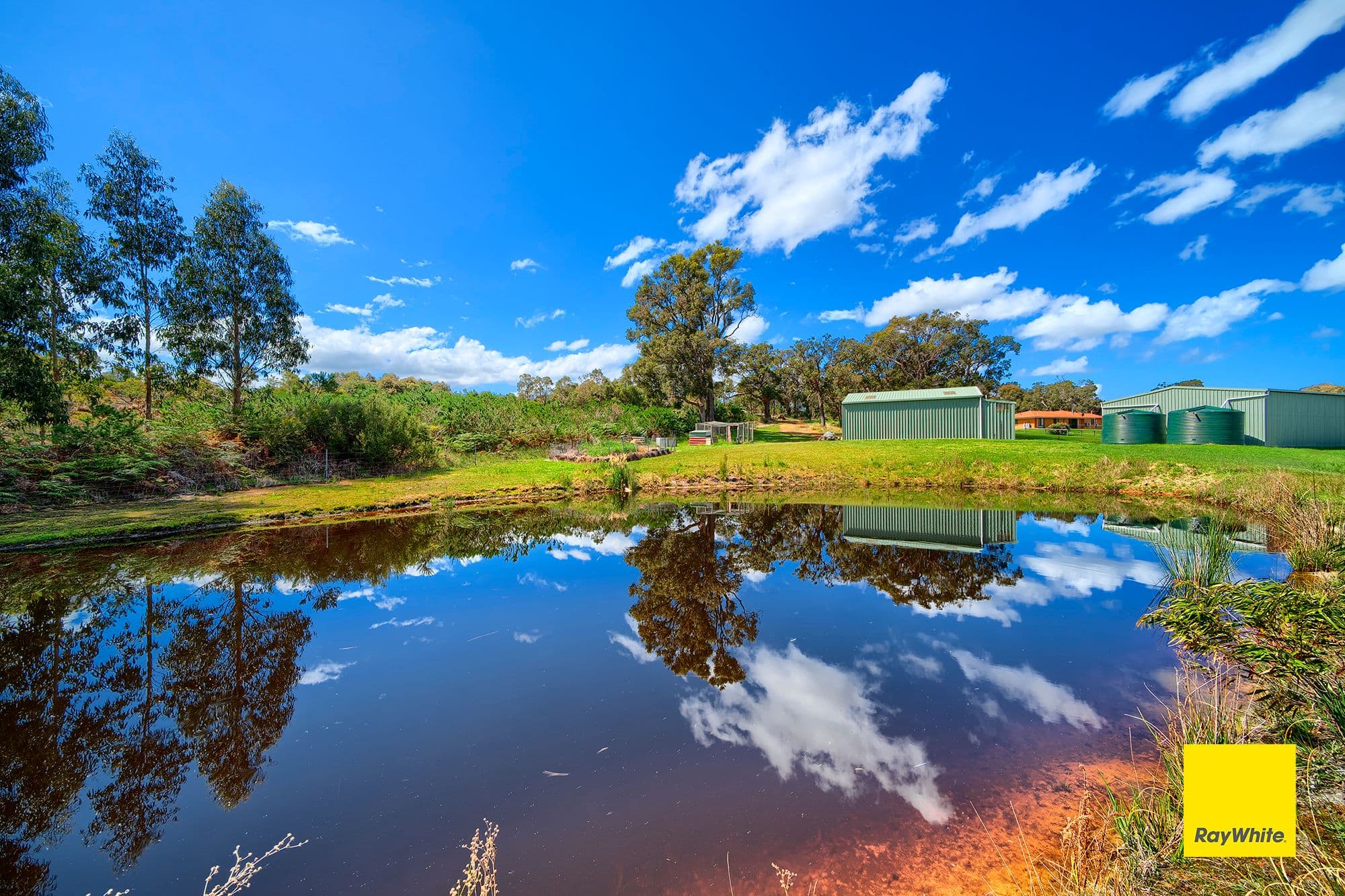47 Pinaster Road, Willyung WA 6330, Willyung - Thumbnail 3
