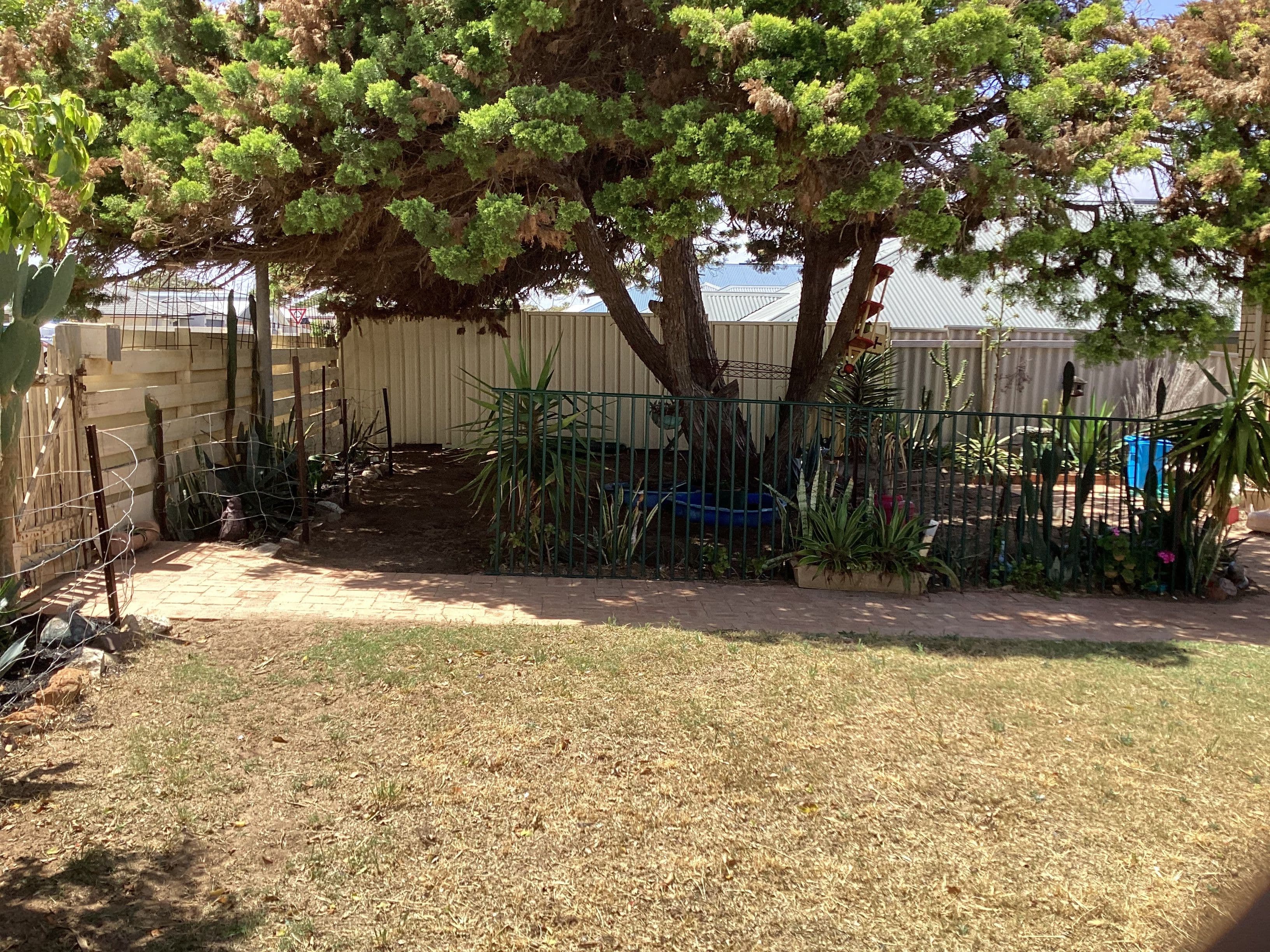 10 Stroud Street, Beachlands WA 6530, Beachlands - Thumbnail 2