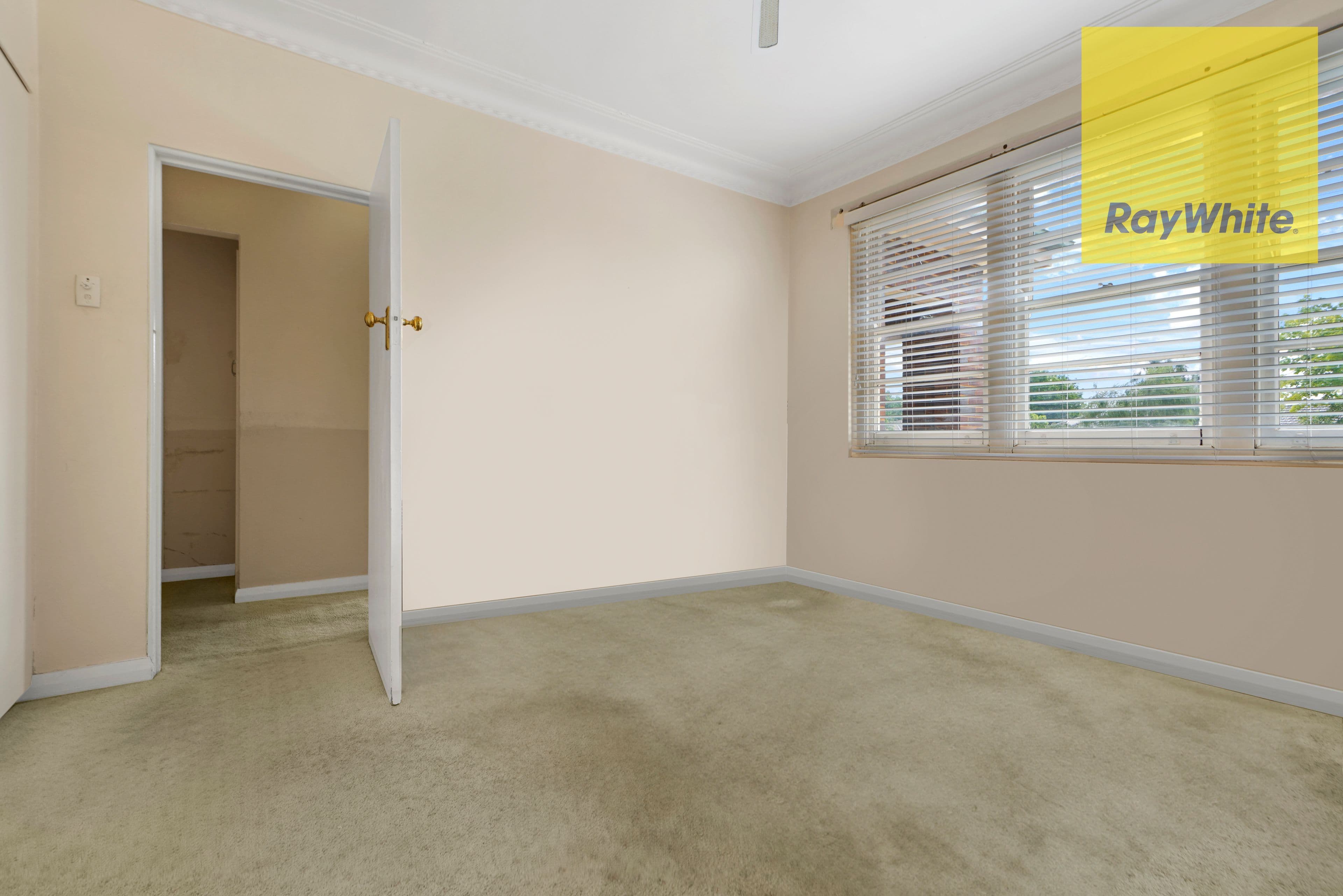 49 Belmore Street, Goulburn NSW 2580, Goulburn - Thumbnail 6