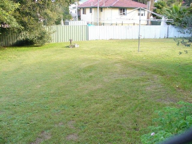 10  Russell Street, TELARAH NSW 2320, Telarah - Thumbnail 2