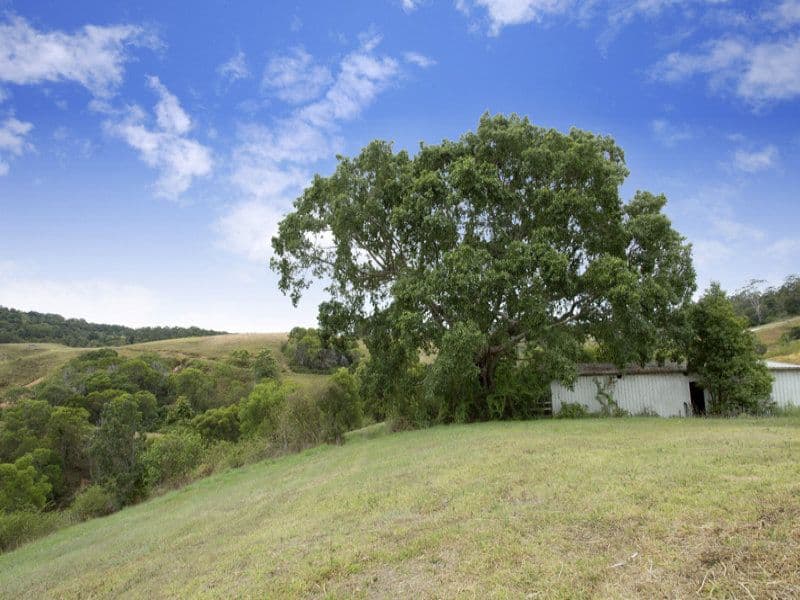 372 Lawnville Road, Cooroy QLD 4563, Cooroy - Thumbnail 6