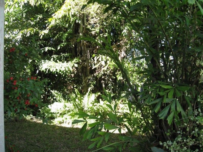 132 Gordon Street, GORDON PARK QLD 4031, Gordon Park - Thumbnail 5