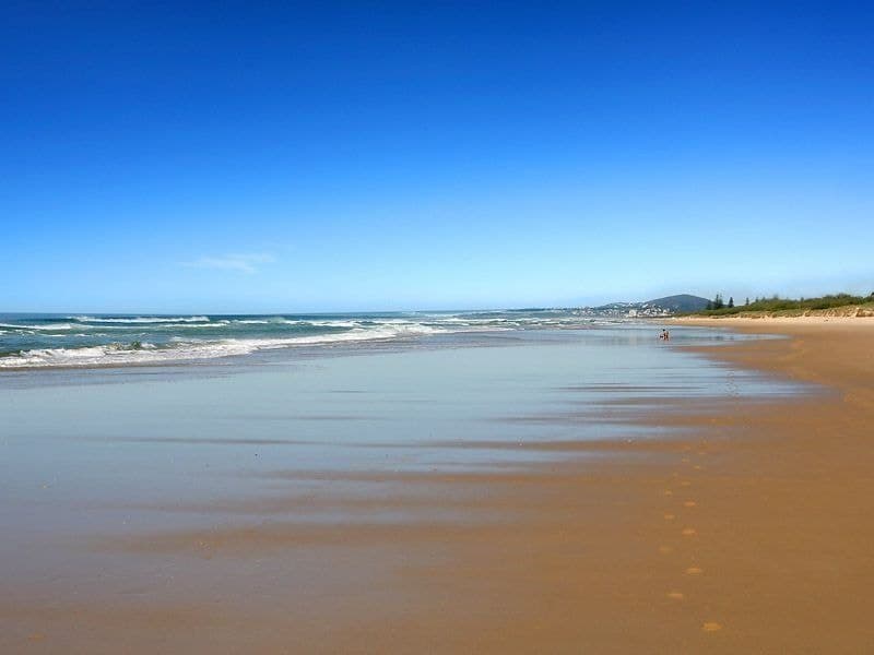 37 Forest Ridge Circuit, Peregian Springs, Peregian Springs - Thumbnail 6