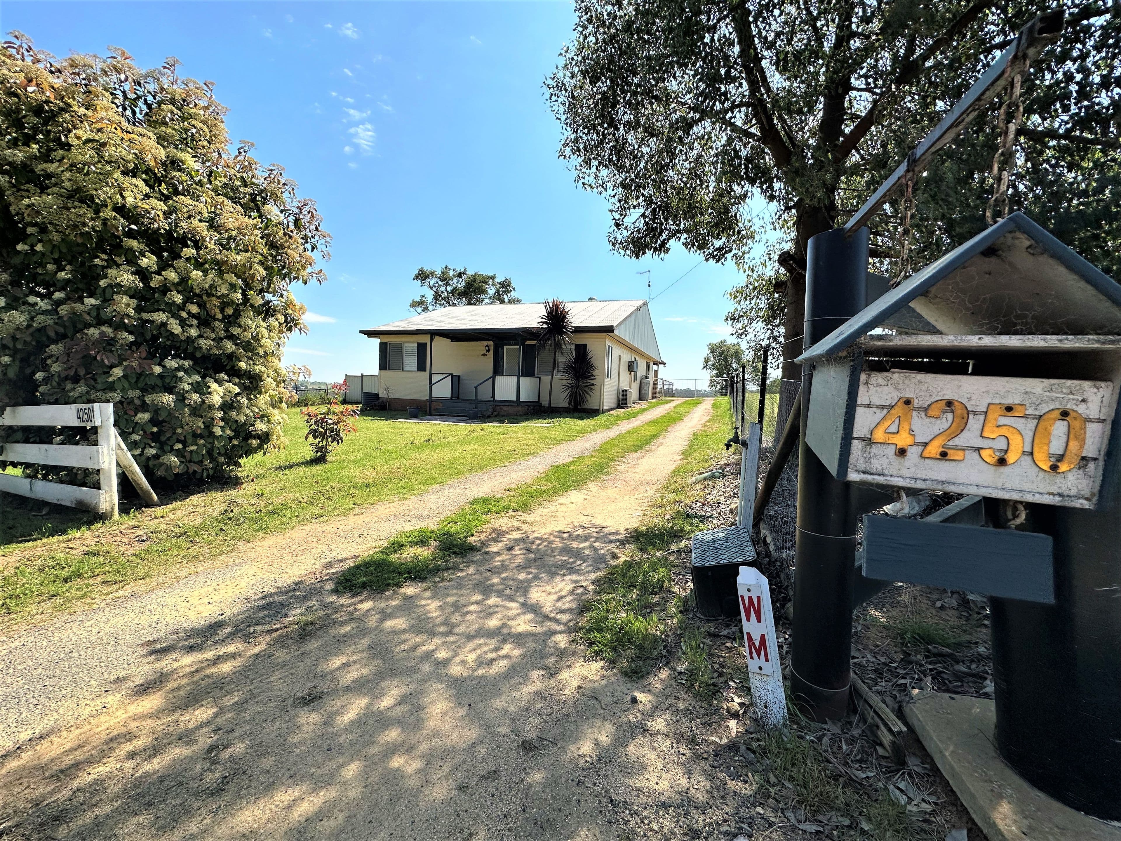 4250 Murringo Road, Young NSW 2594, Young - Image 1