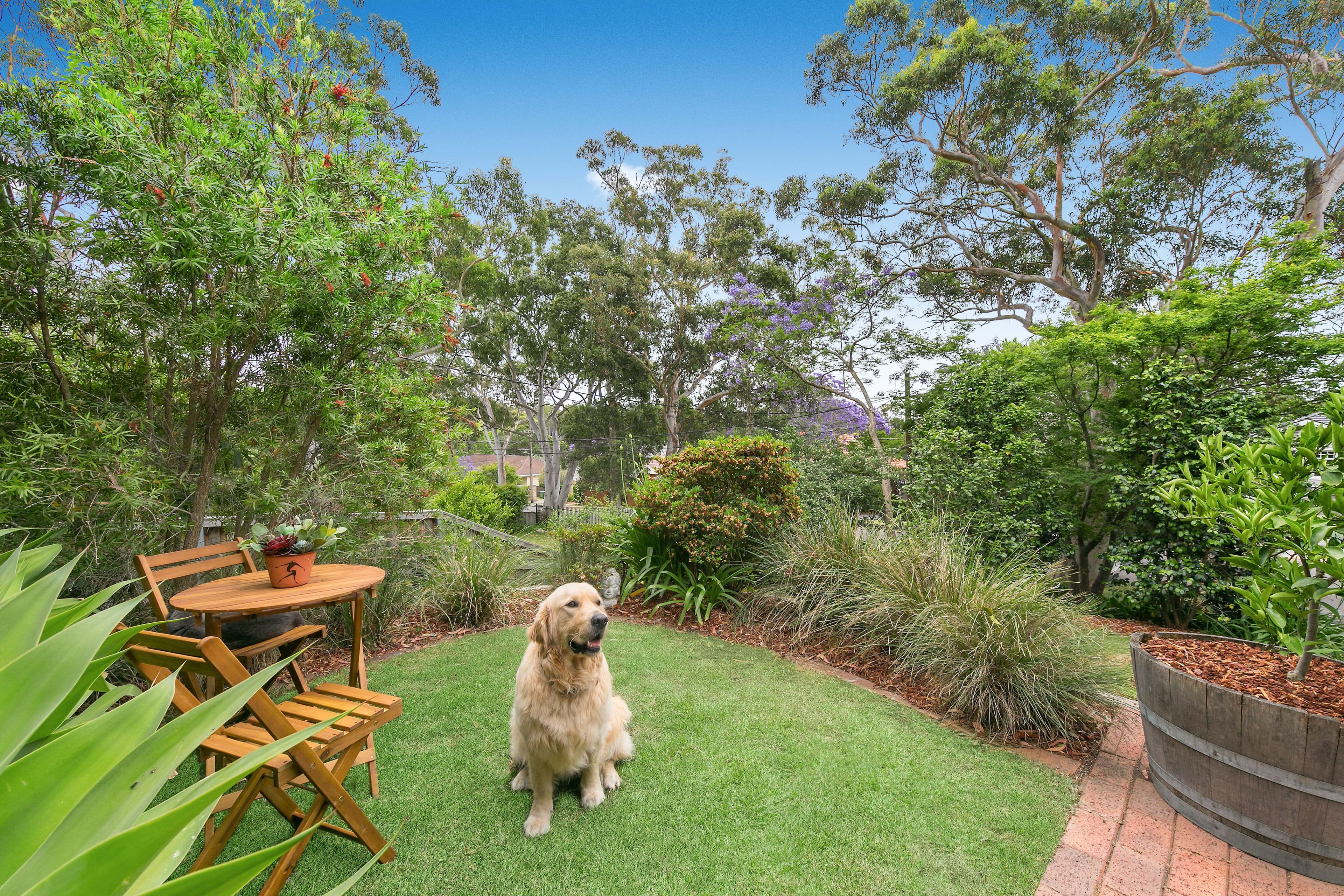 34 Lochville Street, Wahroonga - Thumbnail 5