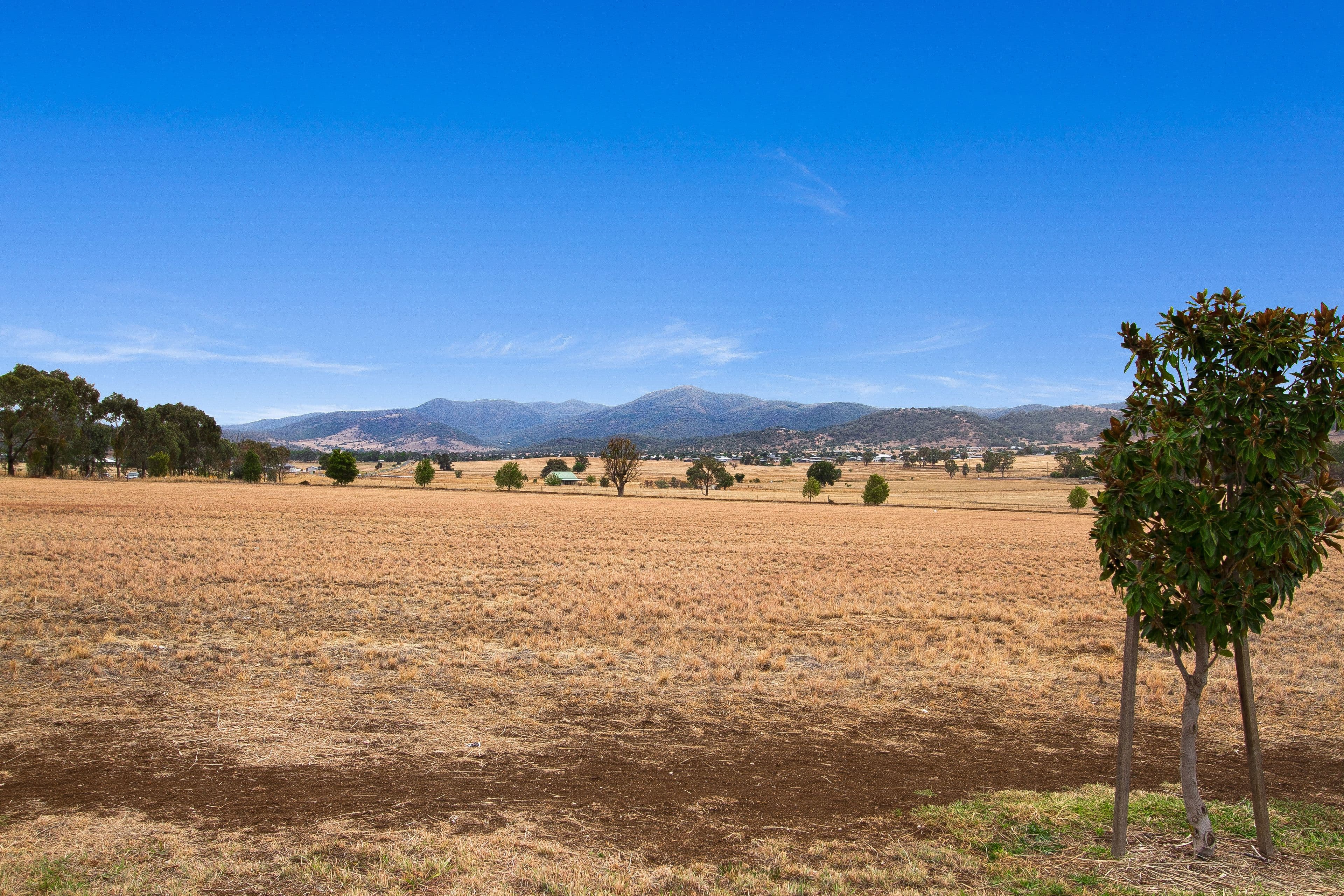 3 Grand Meadows Drive, Tamworth NSW 2340, Tamworth - Thumbnail 2