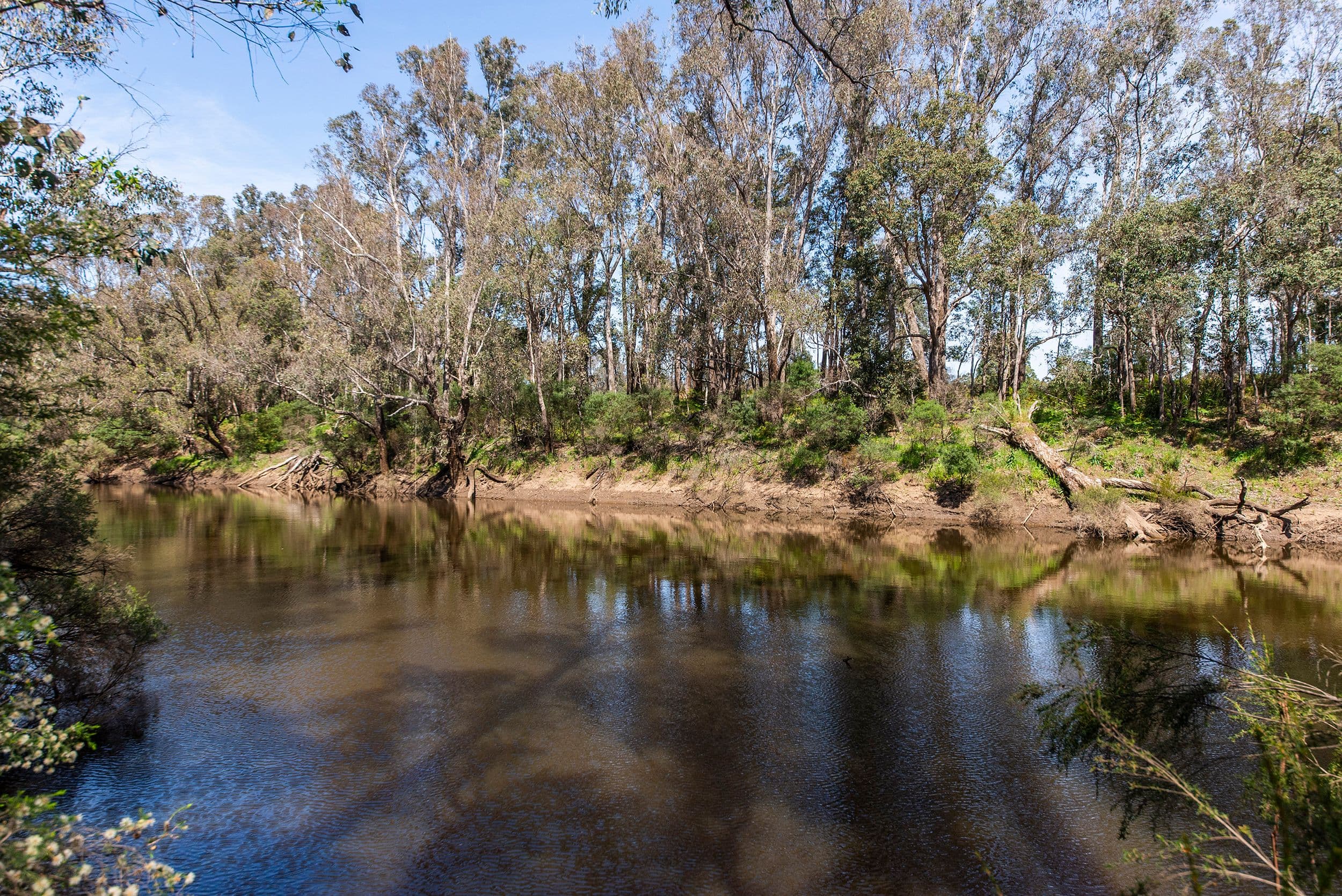 38 Hovea Place, Nannup WA 6275, Nannup - Thumbnail 3