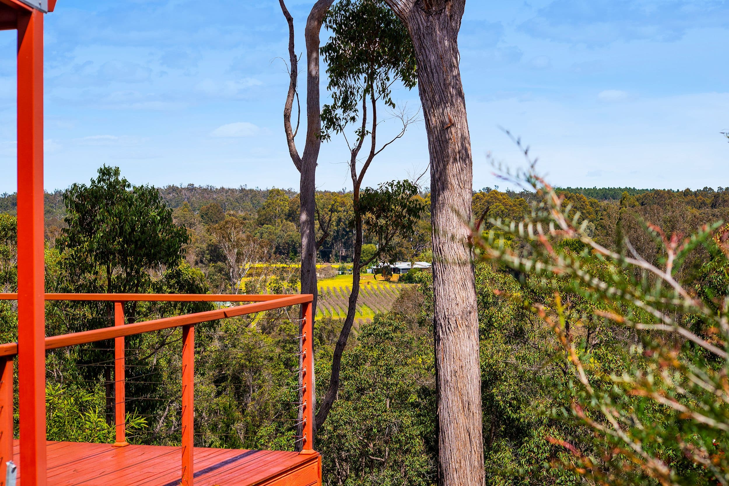 38 Hovea Place, Nannup WA 6275, Nannup - Thumbnail 4