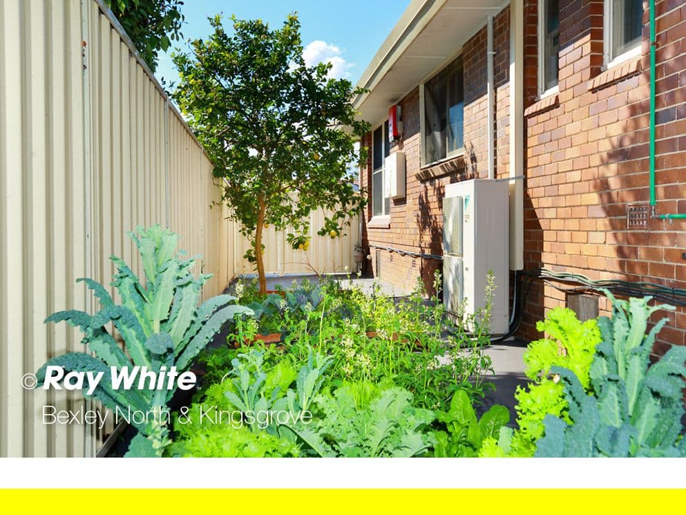 3 Fleming Street, Beverly Hills NSW 2209, Beverly Hills - Thumbnail 8