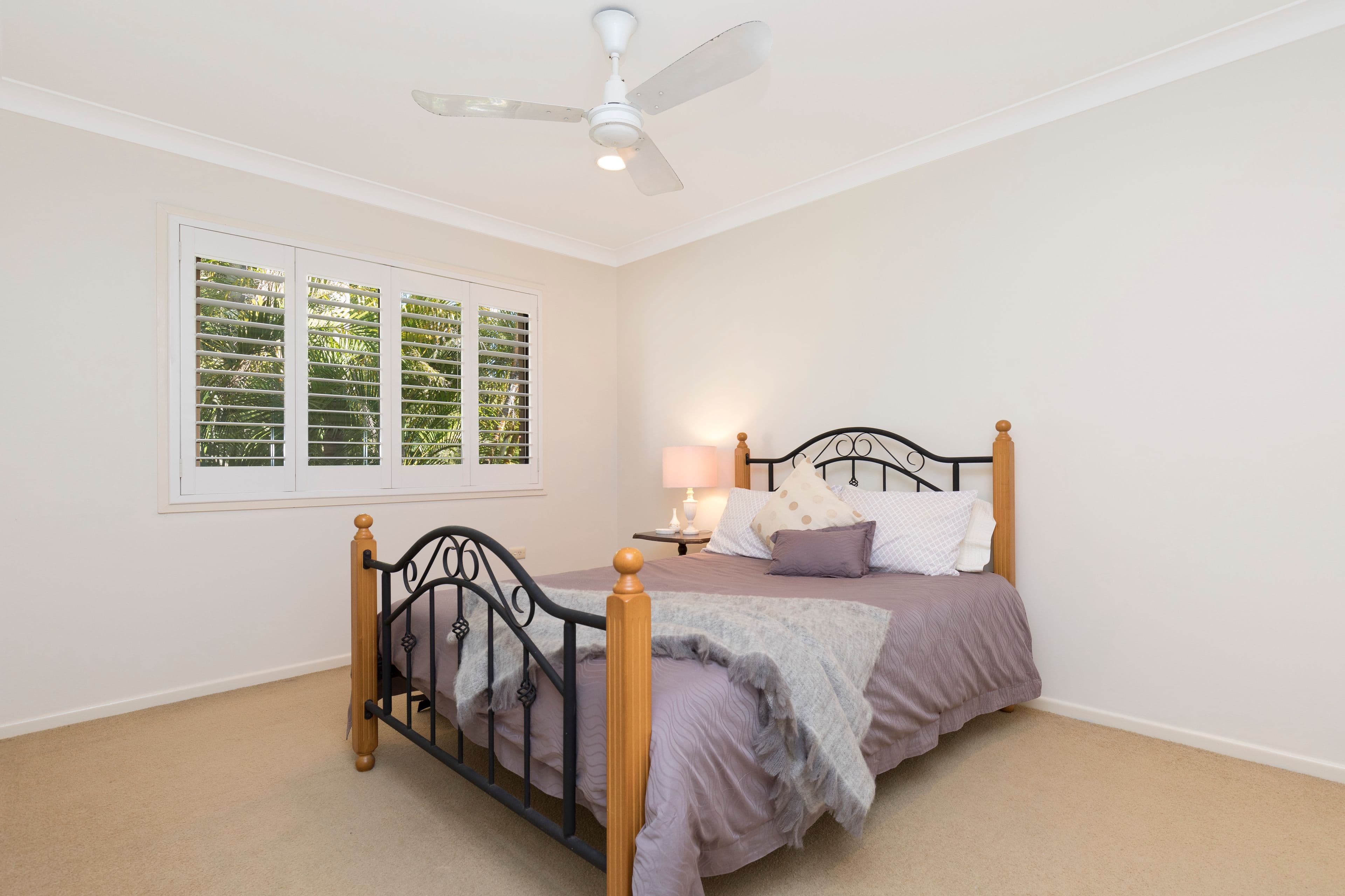 26 Pavo Street, Camp Hill QLD 4152, Camp Hill - Thumbnail 6