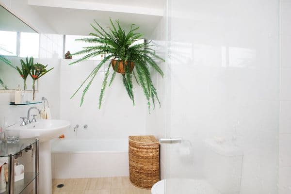 402/19-21 Hanover Street, Oakleigh, VIC, 3166, Oakleigh - Thumbnail 6