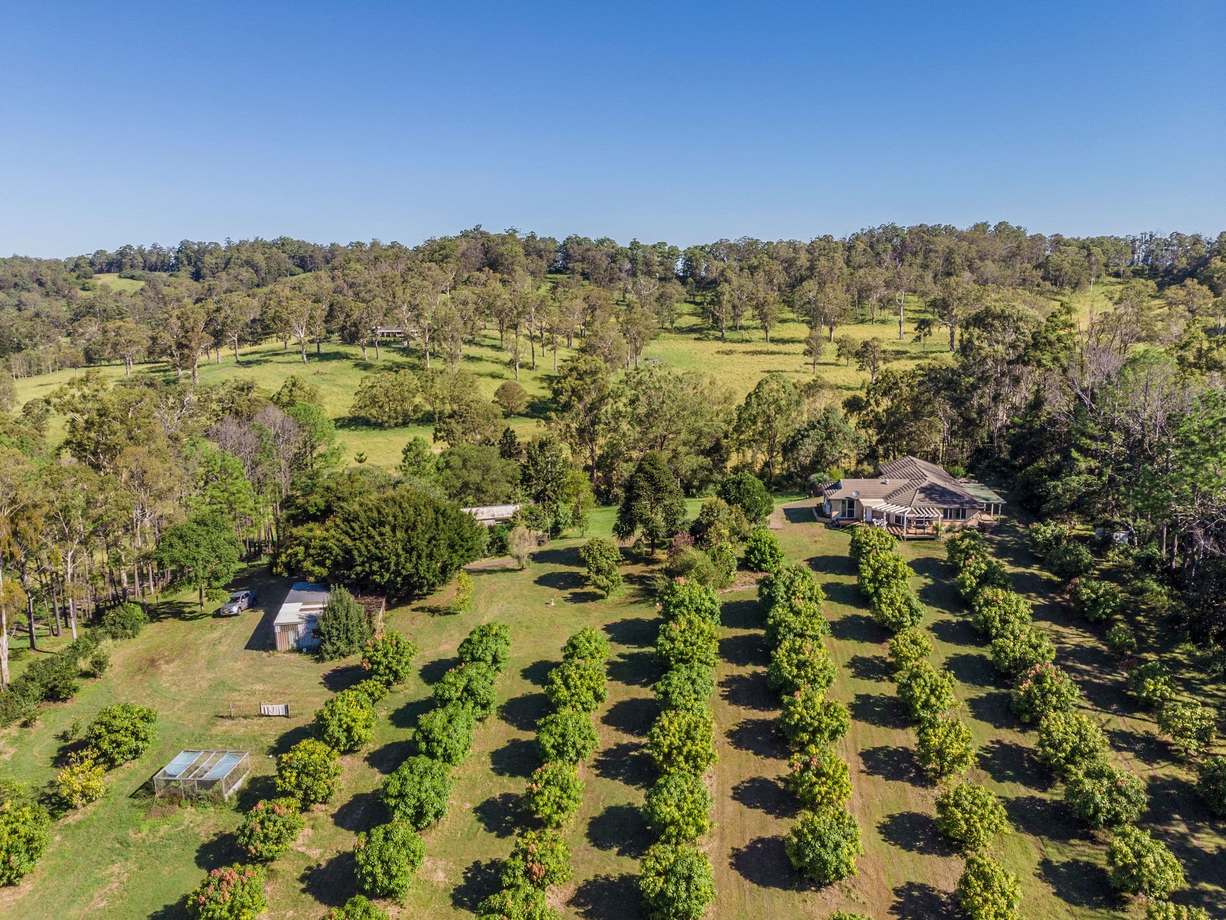 358 Fredericks Road, Caniaba NSW 2480, Caniaba - Thumbnail 3