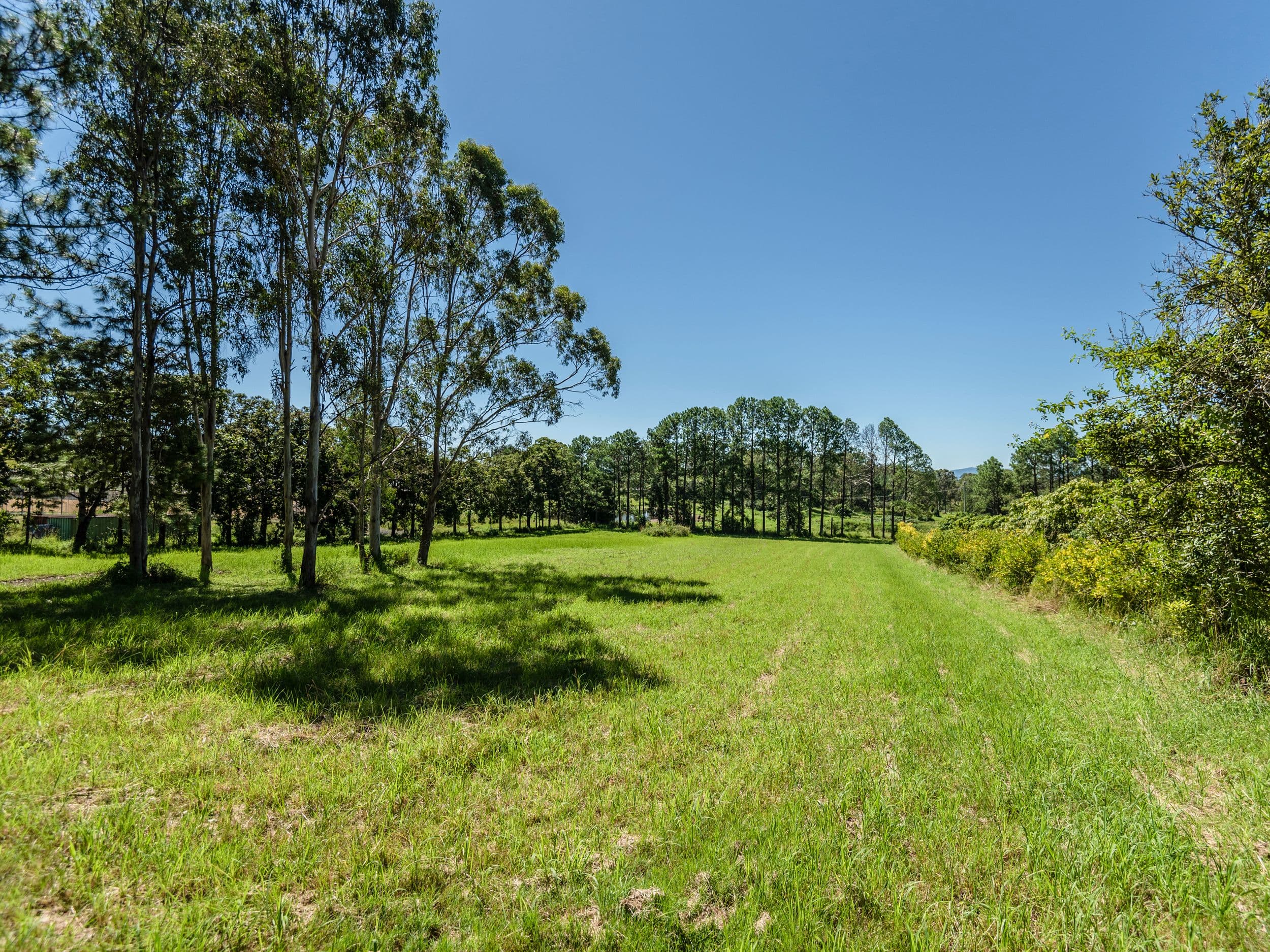 358 Fredericks Road, Caniaba NSW 2480, Caniaba - Thumbnail 5