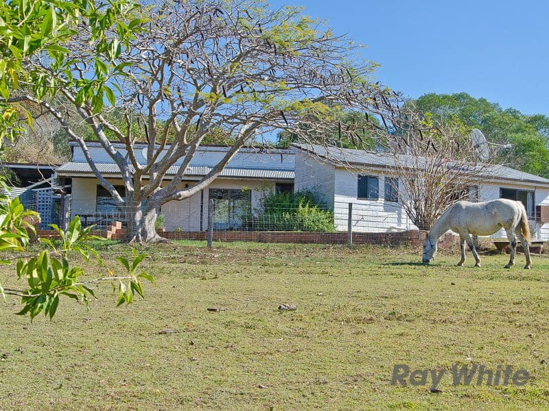 1279 Laceys Creek Road, Laceys Creek QLD 4521, Laceys Creek - Thumbnail 8