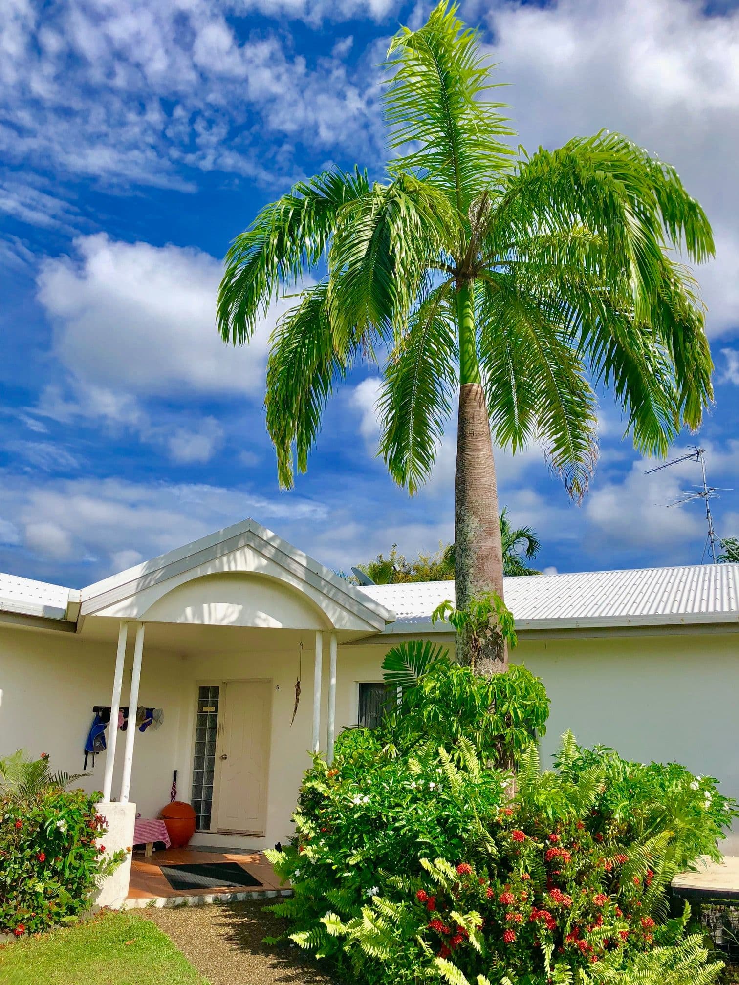 5 Jenae Close, Wonga Beach QLD 4873, Wonga Beach - Thumbnail 2