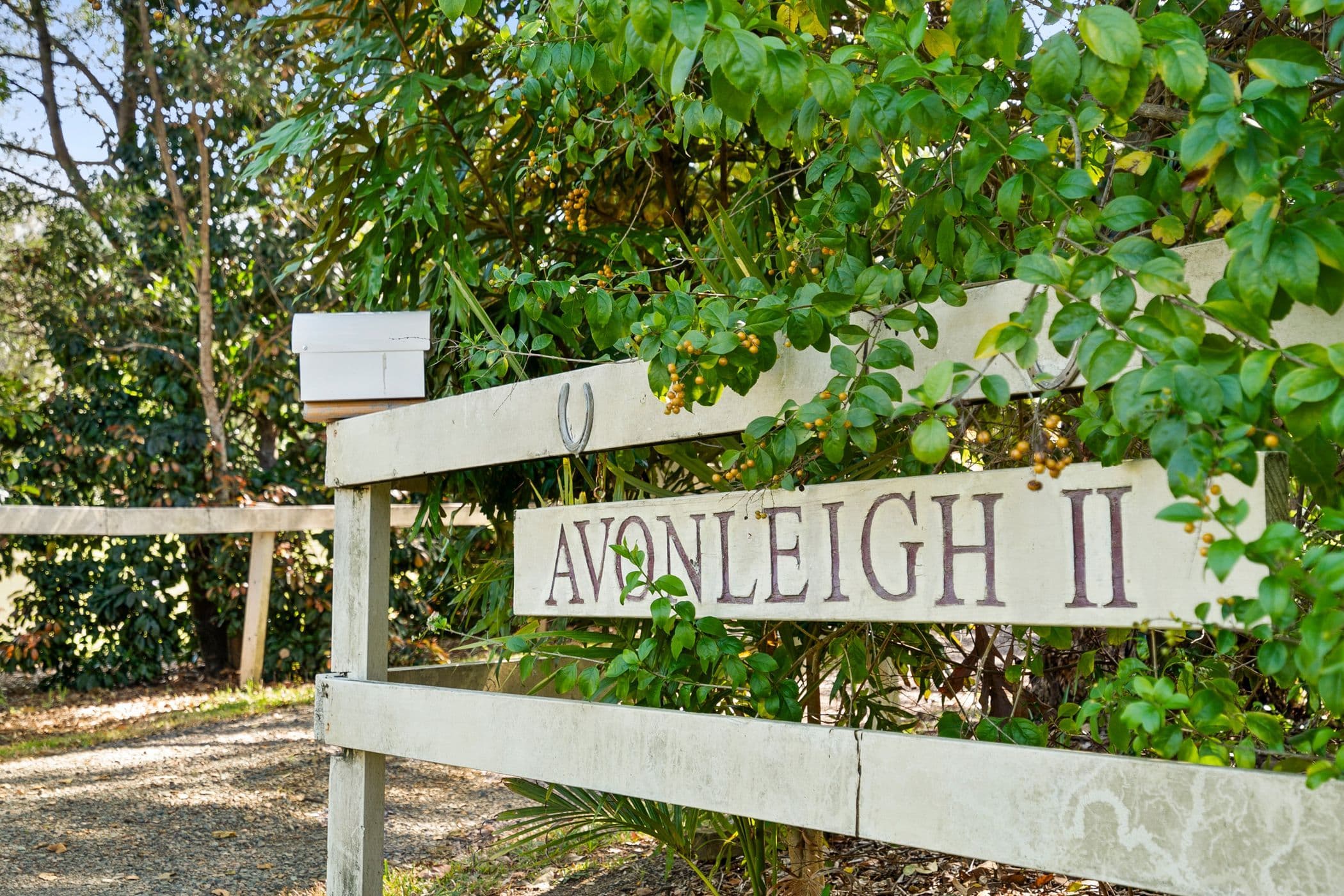 37 Harold Place, Peachester QLD 4519, Peachester - Thumbnail 5