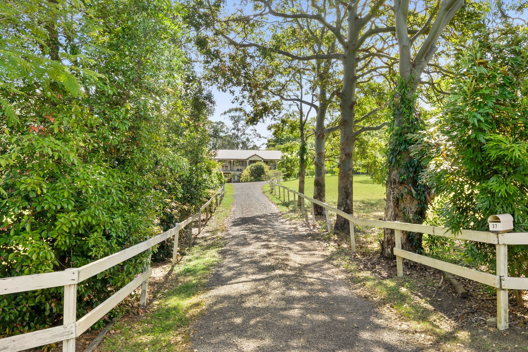 37 Harold Place, Peachester QLD 4519, Peachester - Thumbnail 6