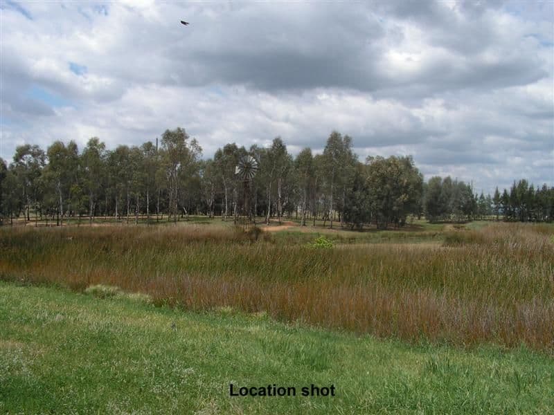 Lot 134 Cobbity Avenue, DUBBO NSW 2830, Dubbo - Thumbnail 2