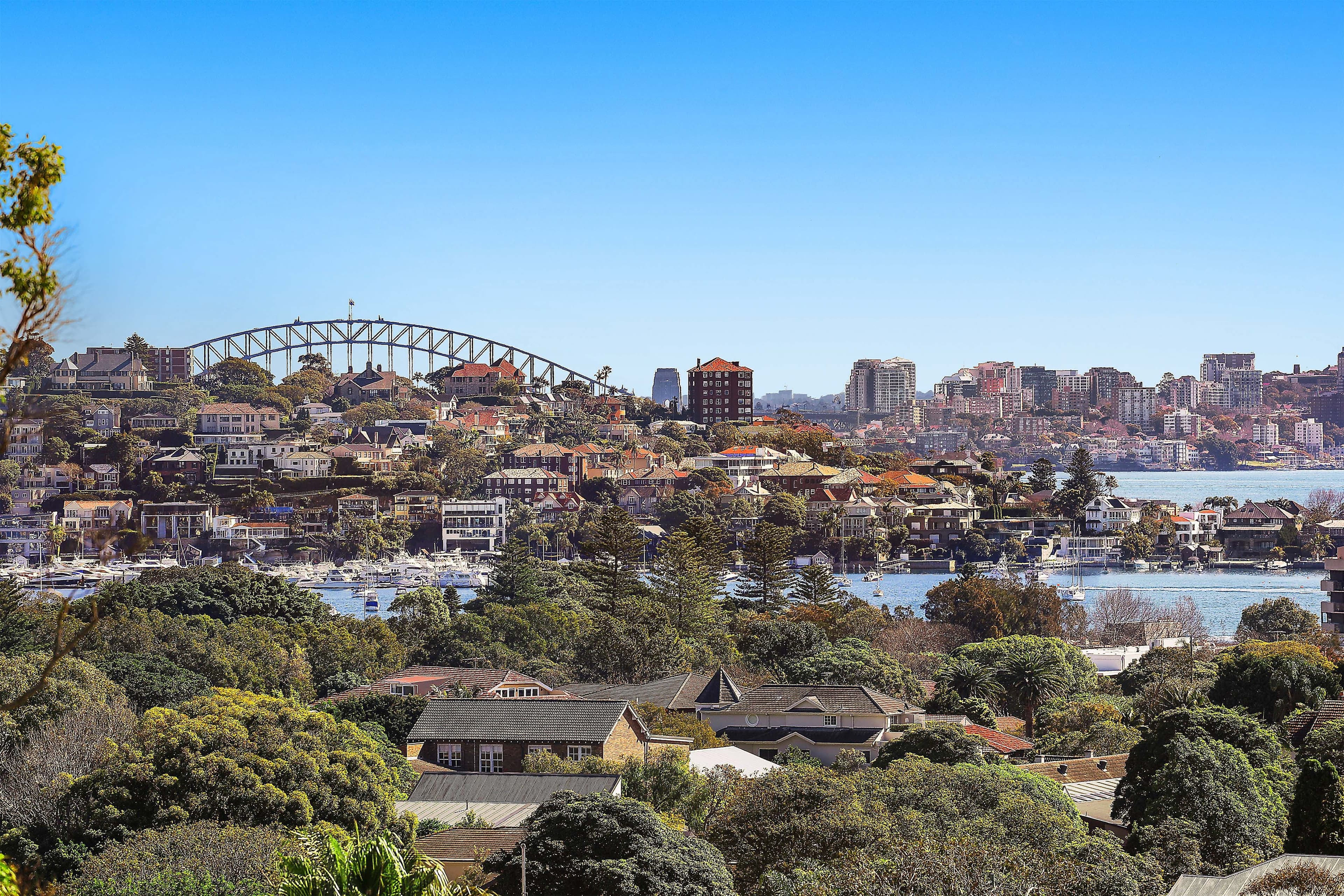 57 Beaumont Street, Rose Bay NSW 2029, Rose Bay - Thumbnail 3