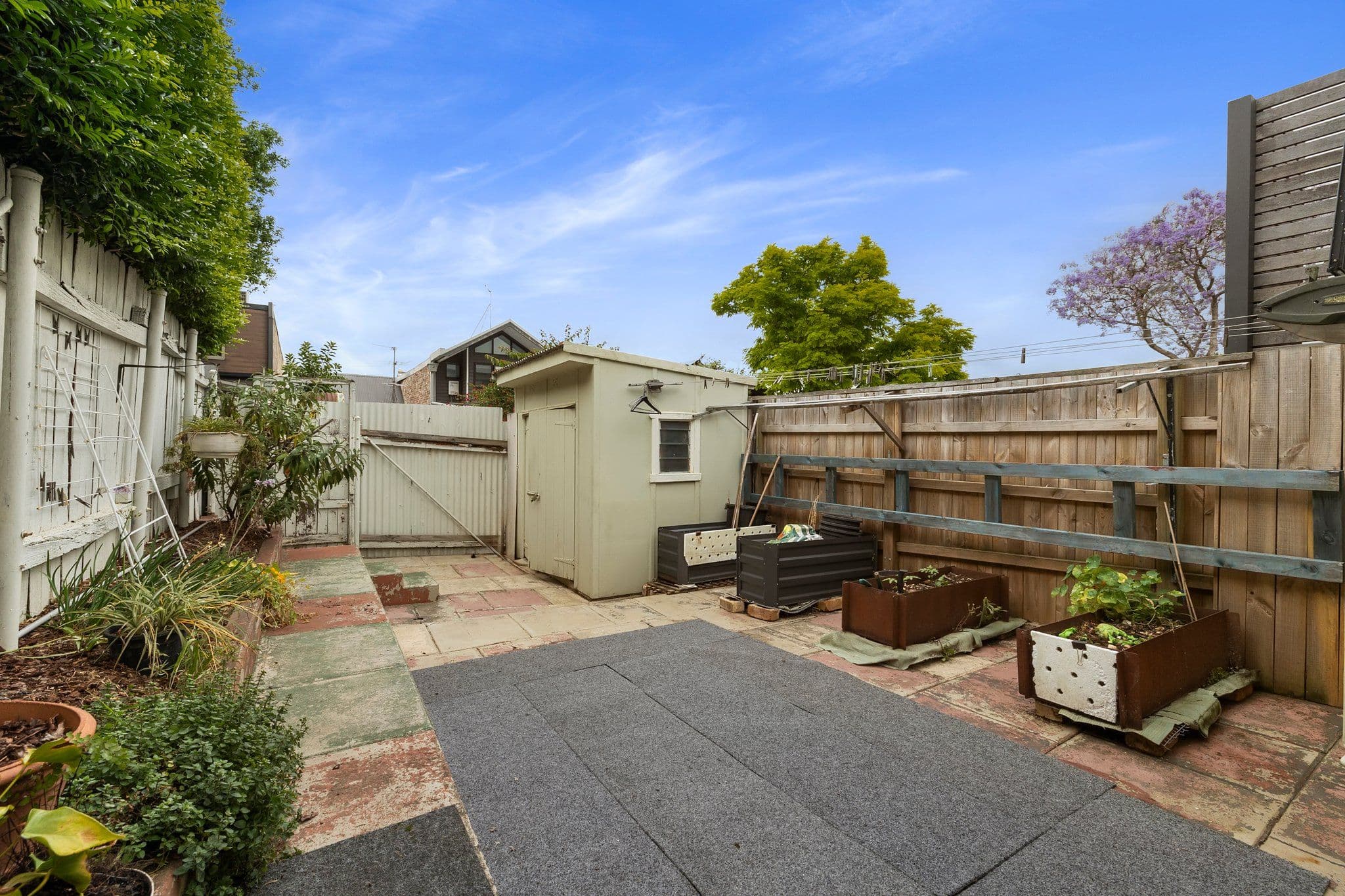 8 Cary Street, Leichhardt NSW 2040, Leichhardt - Thumbnail 8