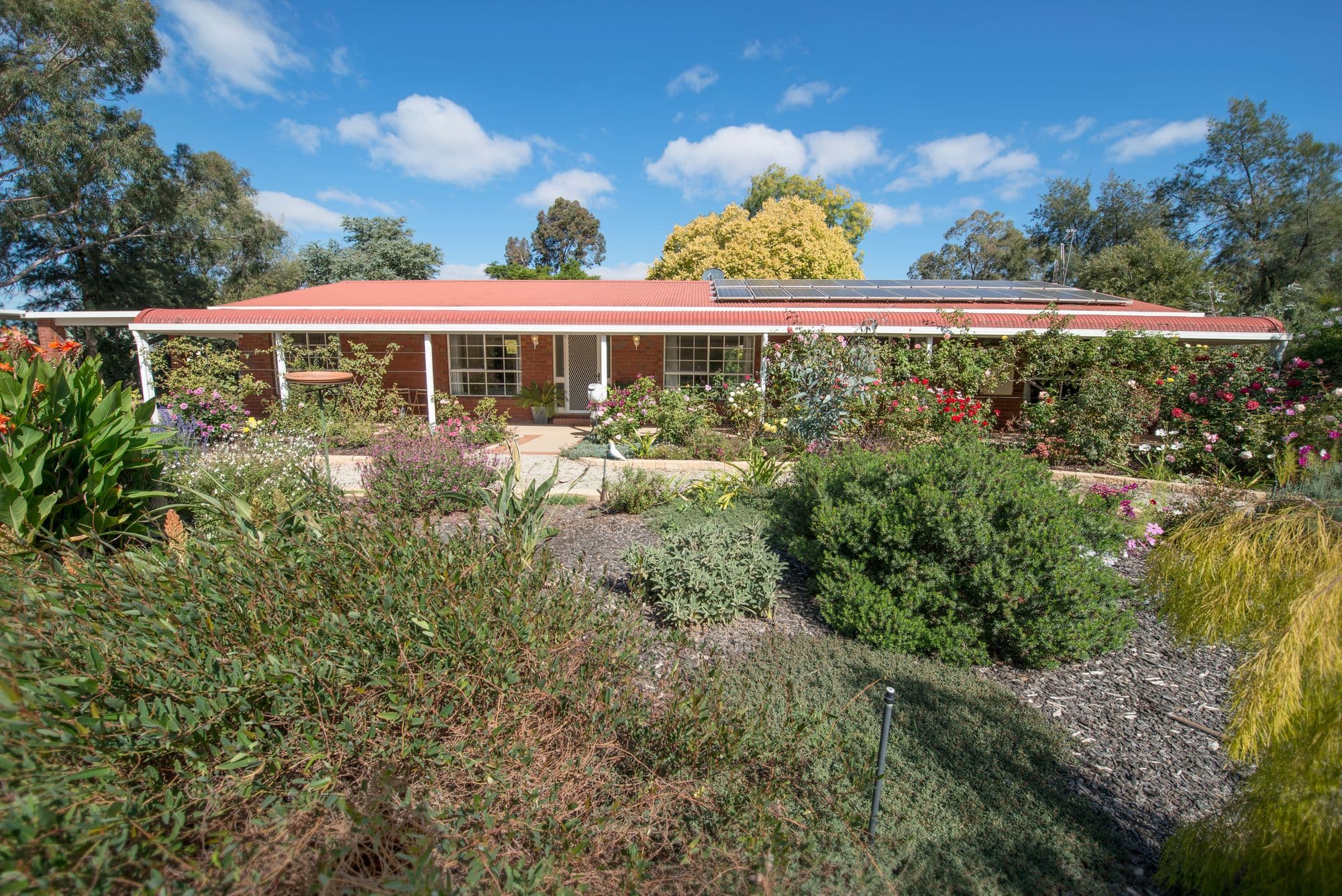 21 Mortoo Street, Swan Hill VIC 3585, Swan Hill - Thumbnail 2