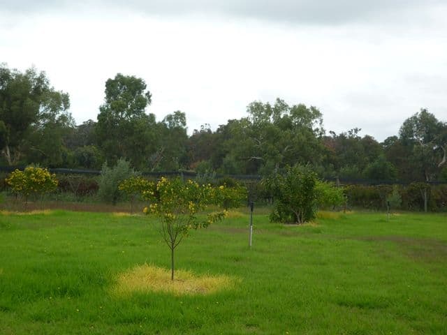 16 Patens Drive, LOWER CHITTERING WA 6084, Lower Chittering - Thumbnail 4
