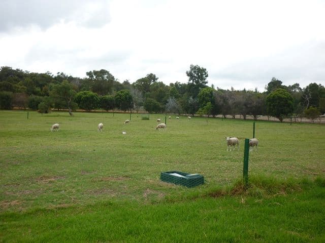 16 Patens Drive, LOWER CHITTERING WA 6084, Lower Chittering - Thumbnail 6
